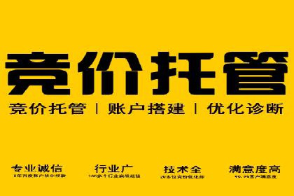 竞价代运营在SEM推广中的应用与效果评估